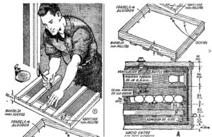 Somos Avícola Maranatha SpA